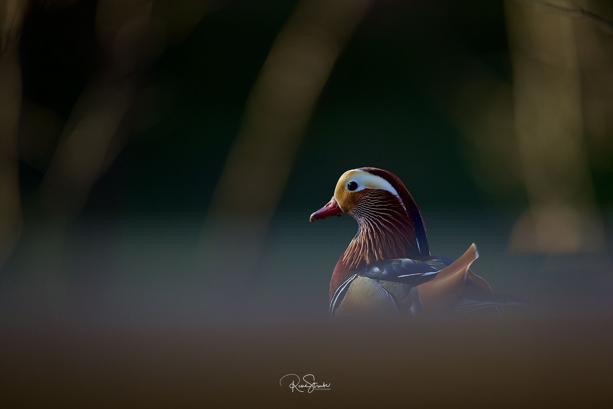 262D32D6-F826-4CD4-BCA4-B63499716707